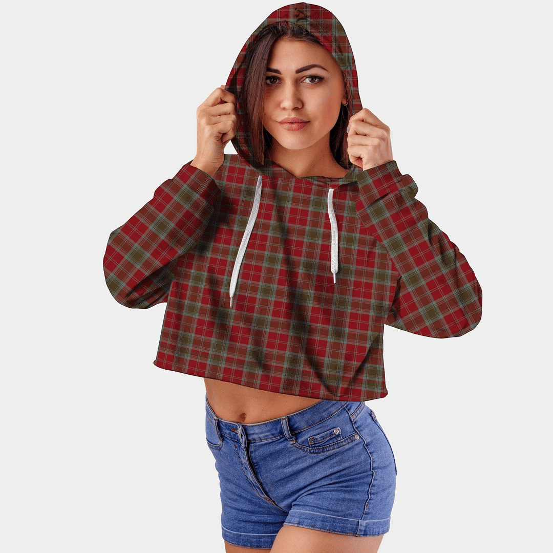 Lindsay Dress Tartan Hoodie - Lion Rampant And Celtic Thistle Style