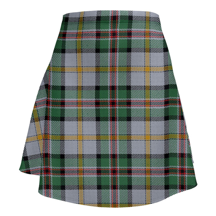 Dinwoodie Modern Clan Badge Tartan Flared Skirt