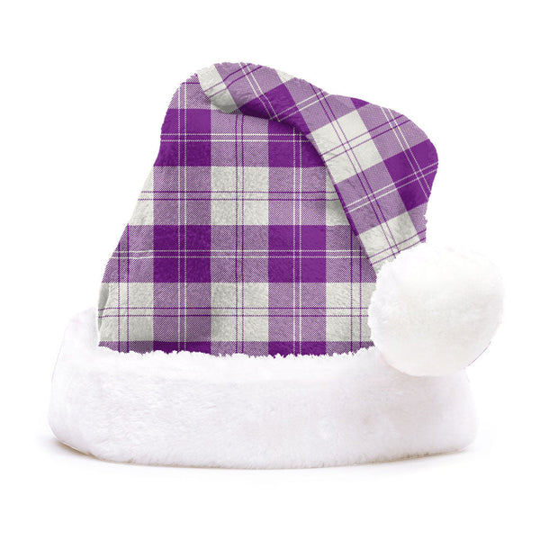 Erskine Purple Clan Badge Tartan Plush Christmas Hat