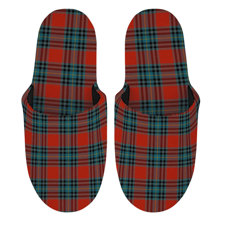 MacLeay Ancient Clan Badge Tartan Mop Slippers