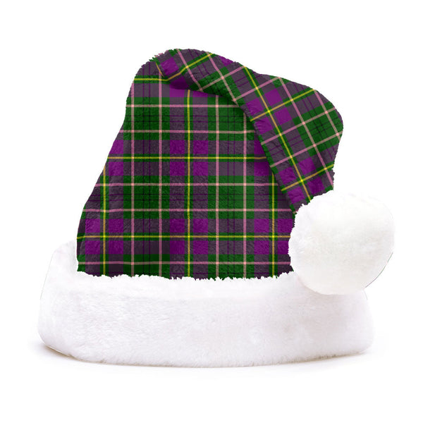 Tailyour Clan Badge Tartan Plush Christmas Hat